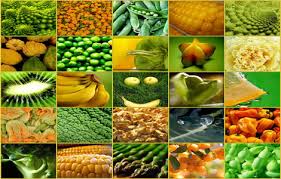 Manufacturers Exporters and Wholesale Suppliers of Agricultural Products Trichy Tamil Nadu